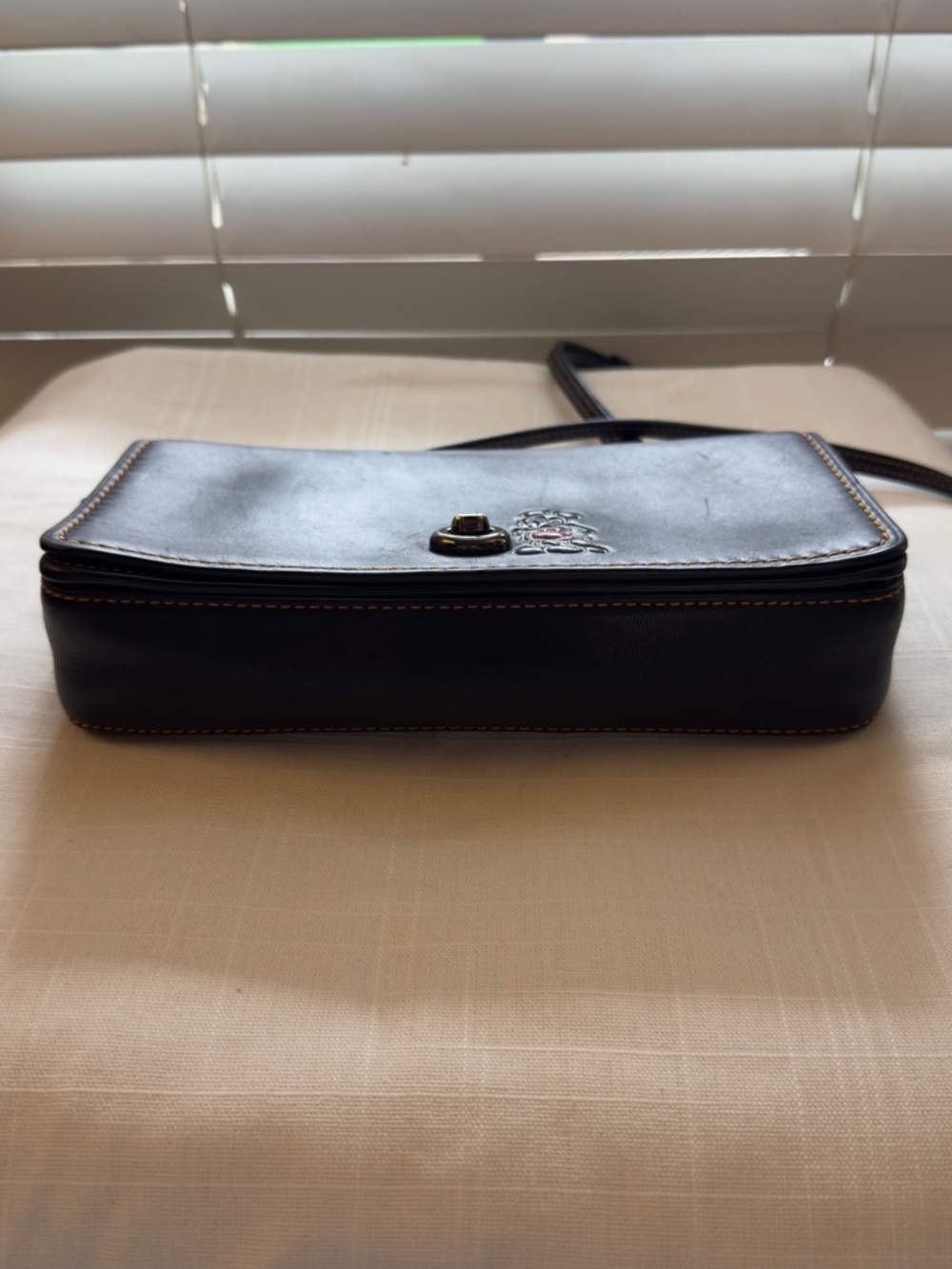 Disney x Coach Mickey Mouse Dinky Crossbody Bag [Limited Edition] - Picture 9 of 10